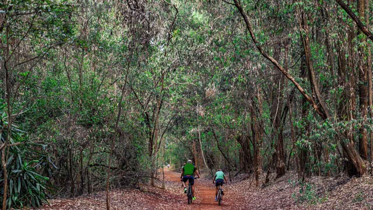 Cycling in Karura