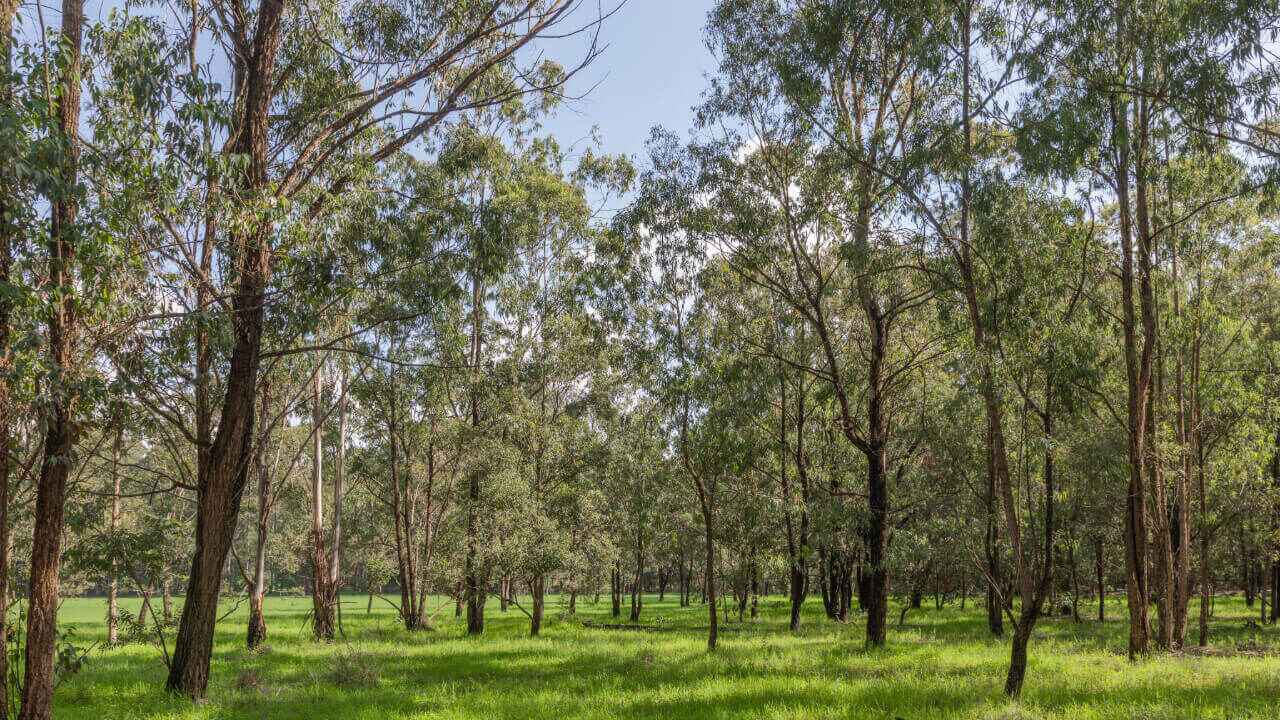 Picnic Spots