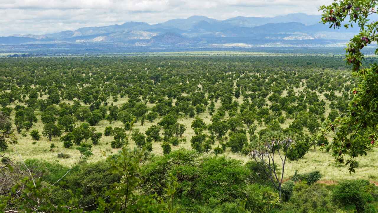 Welcome to Meru: Not Just Another Pretty Park